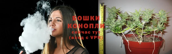 экстази Пересвет
