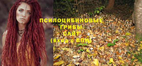 амф Пестово