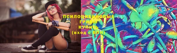 прущая мука Абаза