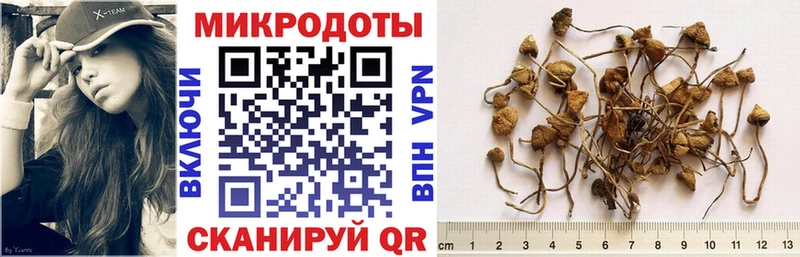 маркетплейс клад Касимов Галлюциногенные грибы Cubensis